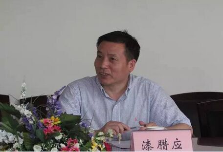 漆腊应(材料图)