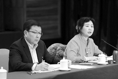  李红平易近代表谈话