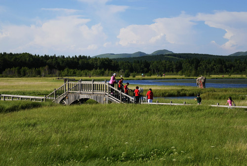 材料图片：旅客在塞罕坝国度丛林公园七星湖景区玩耍（7月11日摄）。新华社记者 王晓 摄