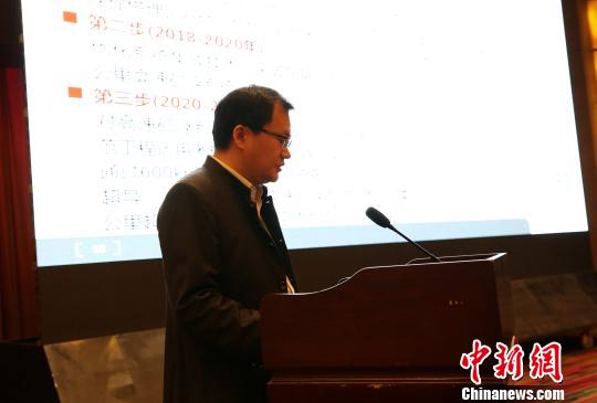 高速磁浮课题担任人丁叁叁报告技巧计划。　胡耀杰 摄