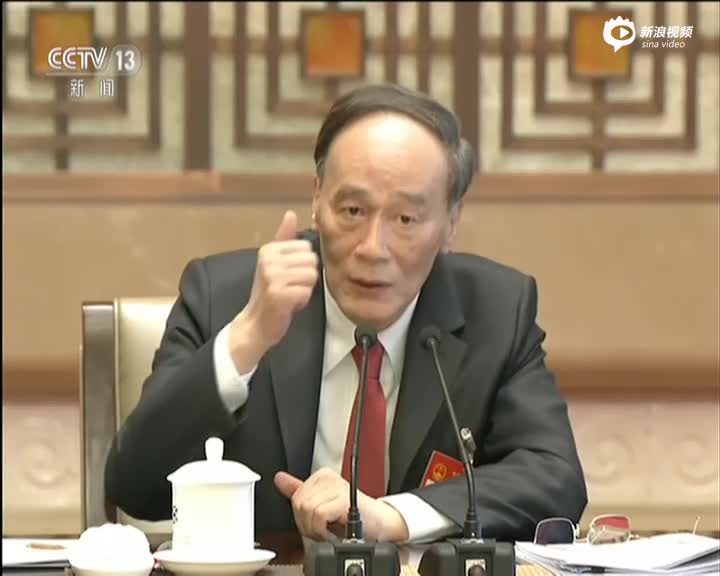 王岐山加入北京代表团审议